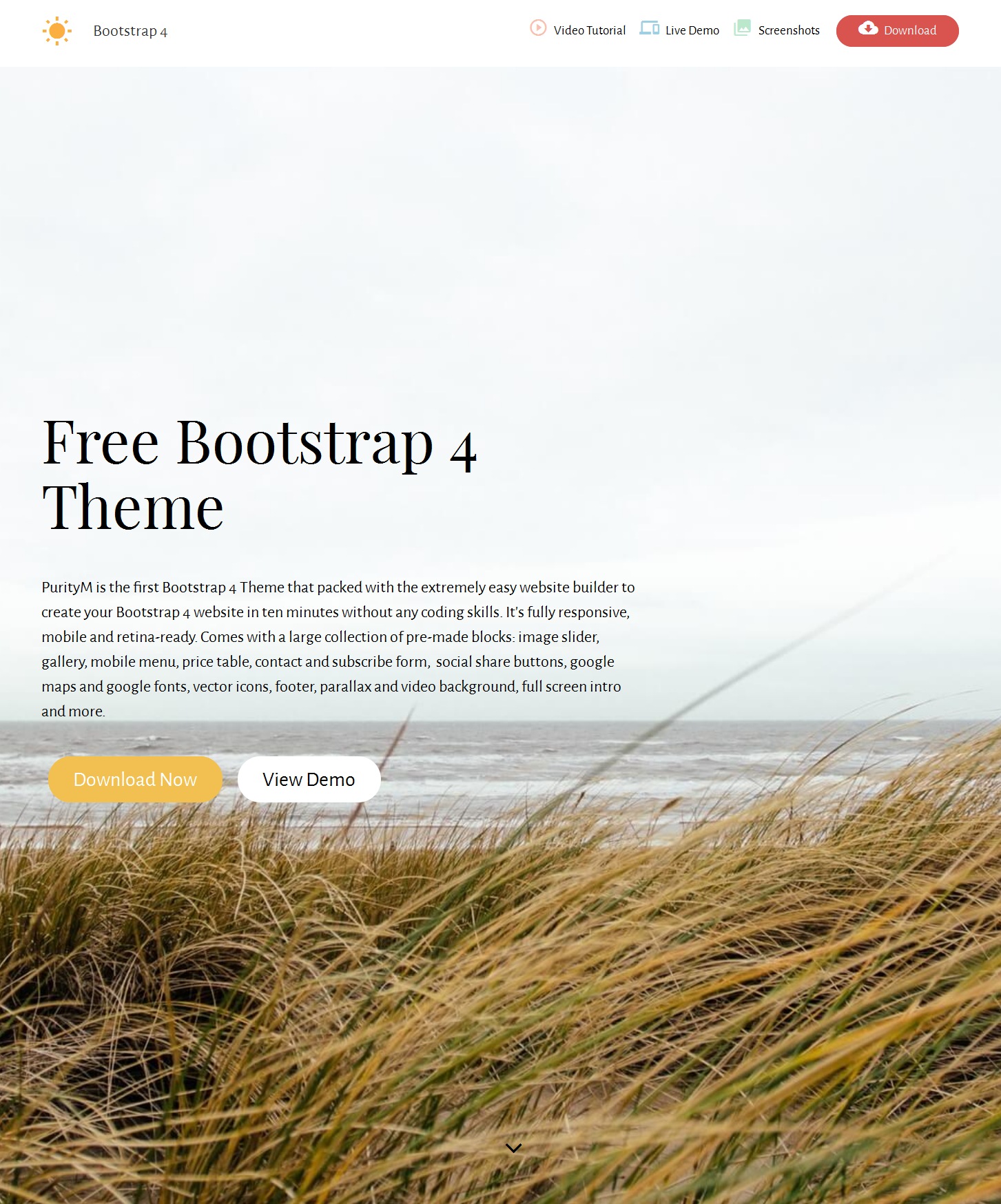 HTML Bootstrap Blank Theme
