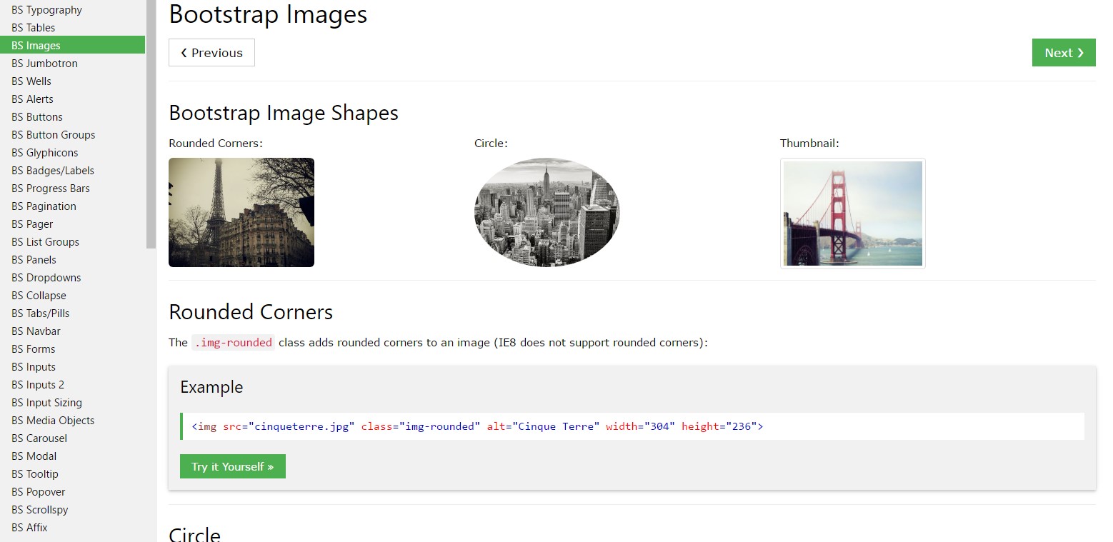 Bootstrap image  training